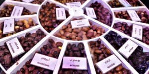 الصين .. تسجيل تقدم في التشجير سنة 2022