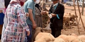 سعيد حروزة رئيسا لجماعة سي الطيبي، خلفا لمحمد الكني