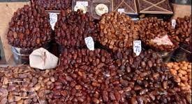 تكريم المناضلين البيئيين بمدينة القنيطرة: حفل تكريم برعاية جمعية الغرب للمحافظة على البيئة