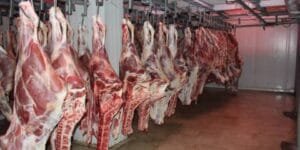 طقس السبت: أجواء باردة مع ضباب محلي وقطرات متفرقة شمالًا