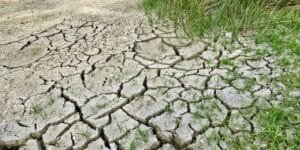 إعلان كمبالا يدعو لإحداث تحول شامل في الزراعة والصناعات الغذائية الإفريقية