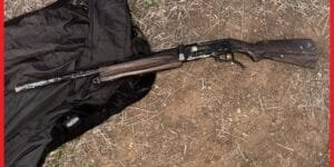 مركز البيانات بوزارة الاقتصاد والمالية يحصل على شهادة دولية في التميز