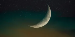 لجنة استخلاص النتائج تصدر إعلانًا هامًا لجمعيات حمام السباق