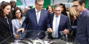 فوزي لقجع يتفقد مركب محمد الخامس ويؤكد جاهزيته قبل نهاية مارس