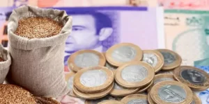 تعليق الرحلات البحرية بين طريفة وطنجة