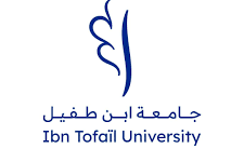 كأس العالم 2030: انطلاقة تاريخية للمغرب نحو مستقبل اقتصادي مشرق