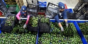 نقابات صحية تستنكر اعتداء دركي على ممرض في قلعة السراغنة