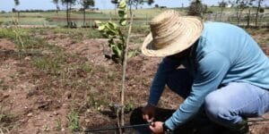 احتكار المواد الأولية يفاقم أزمة قطاع الدواجن ويهدد الأمن الغذائي