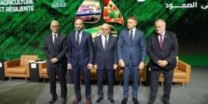 تقاليد النزاهة عند المغاربة في فصل الربيع: رمزية التجديد والتكافل الاجتماعي