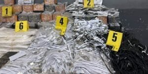  المغرب يخلد اليوم العالمي للهيموفيليا