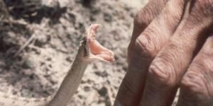 رفض أكاديمي مغربي لمشاركة إسرائيل في منتدى السوسيولوجيا