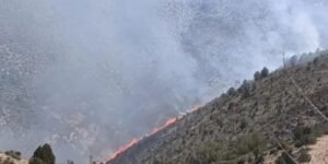 فضيحة أولمبية: IBA تطالب إيمان خليف بإعادة ميدالية باريس