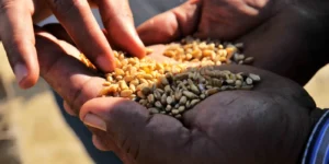 البرلمان يقر إجراءات لحماية الأطفال وتعزيز إصلاح التعليم