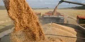 أسماء جاسم تستحوذ على نادٍ عريق في إيطاليا وتنعش آماله